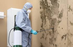 Best Mold Prevention Services  in Riley, KS